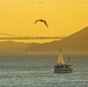 Sailing on the San Francisco Bay